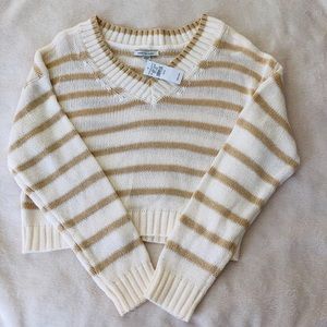 American Eagle NWT Crop Sweater